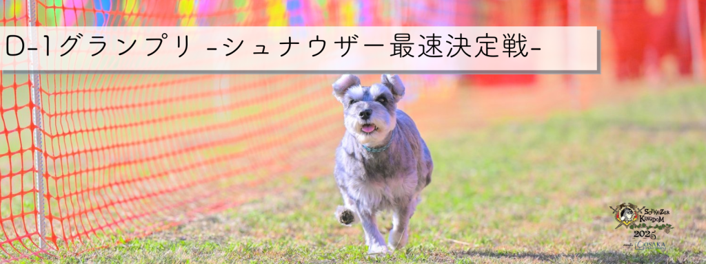D-1グランプリ　-シュナウザー最速決定戦-