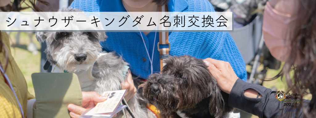 シュナウザーキングダム名刺交換会@大阪北港マリーナ