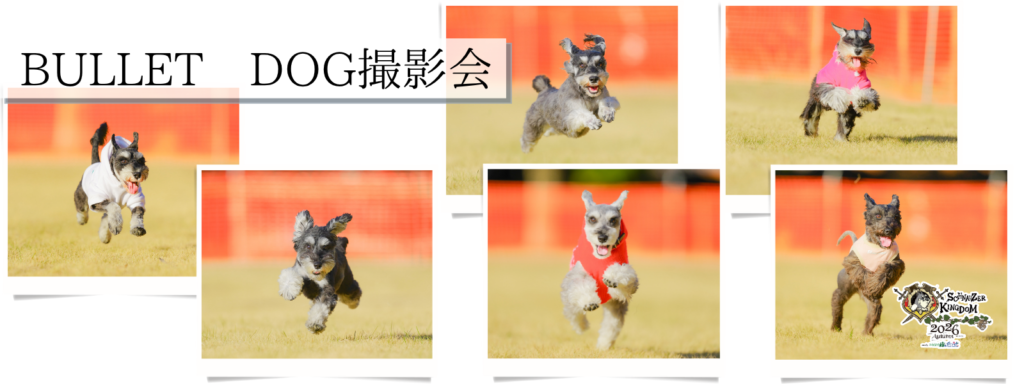 BULLET DOG撮影会