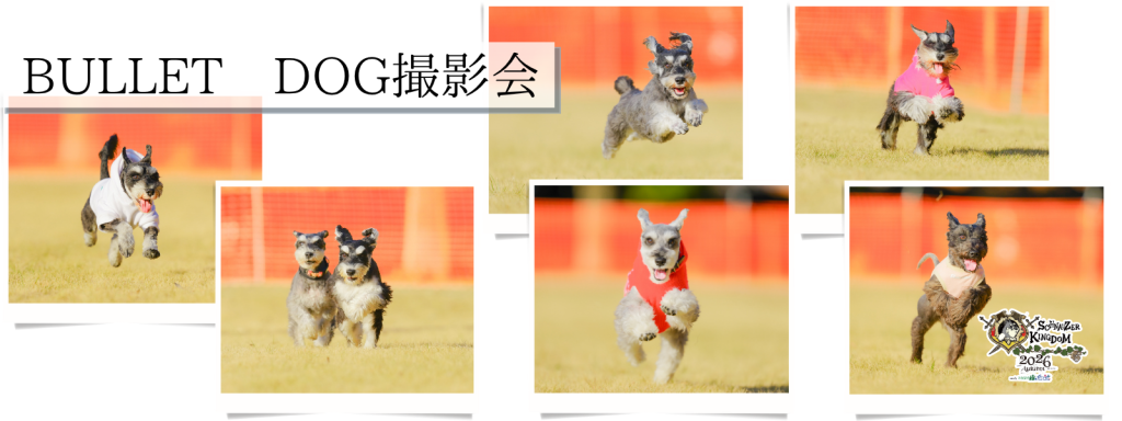 BULLET DOG撮影会