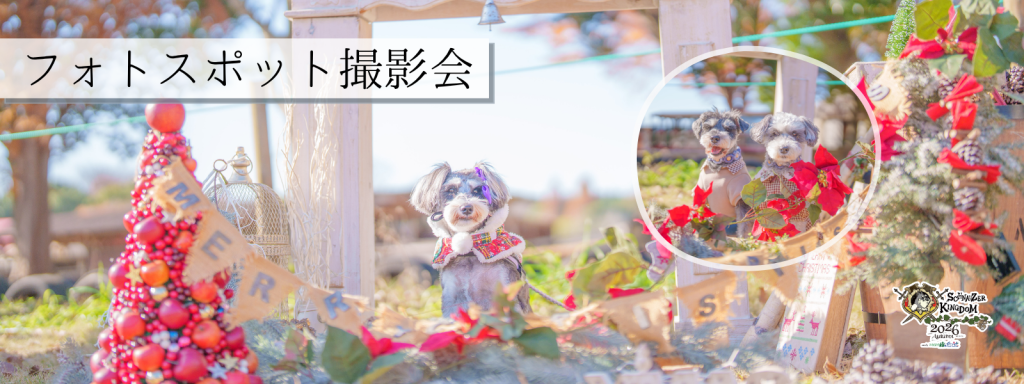 フォトスポット撮影会