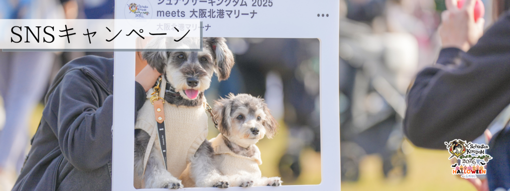 SNSキャンペーン@大阪北港マリーナ