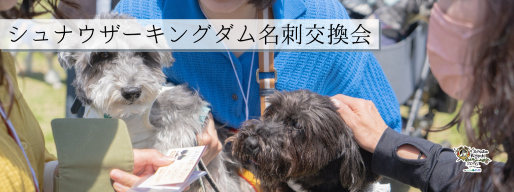 シュナウザーキングダム名刺交換会