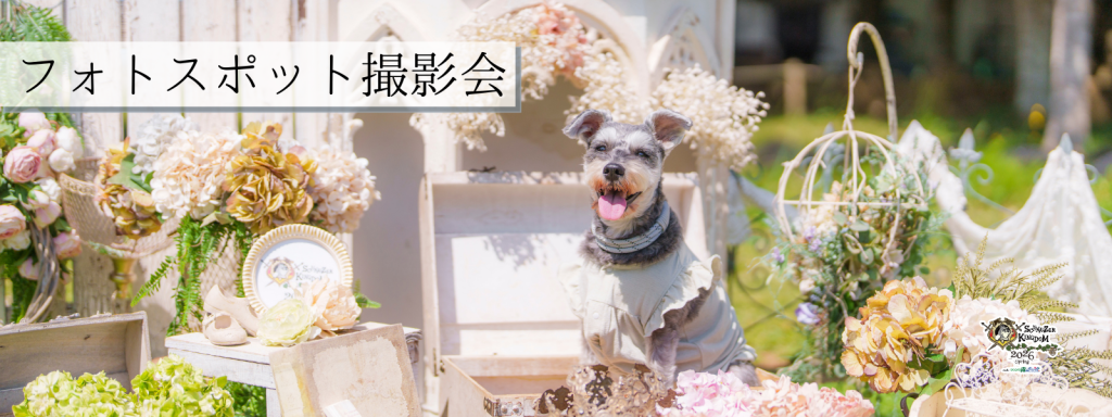 フォトスポット撮影会