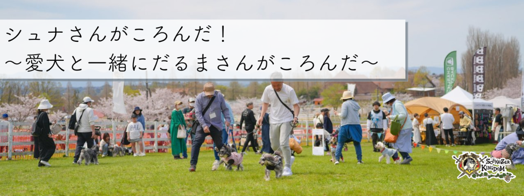 シュナさんがころんだ！ 〜愛犬と一緒にだるまさんがころんだ〜
