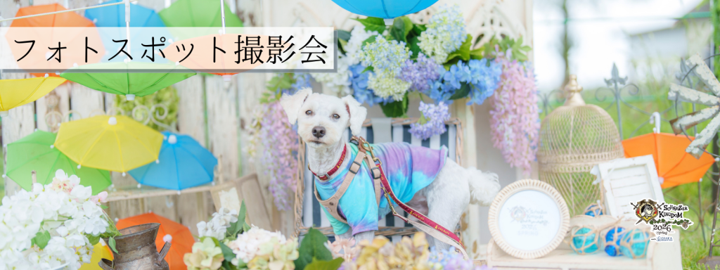 フォトスポット撮影会@大阪北港マリーナ