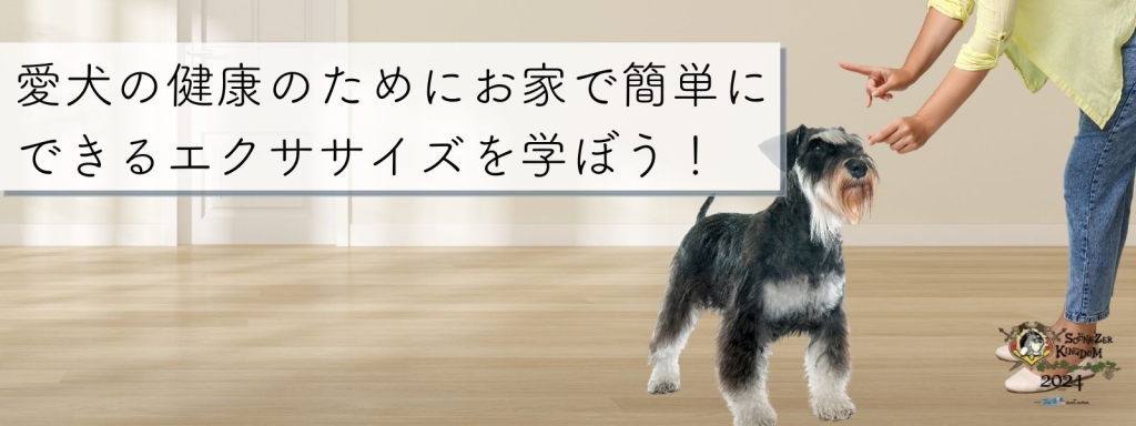 愛犬の健康のためにお家で簡単にできるエクササイズを学ぼう！