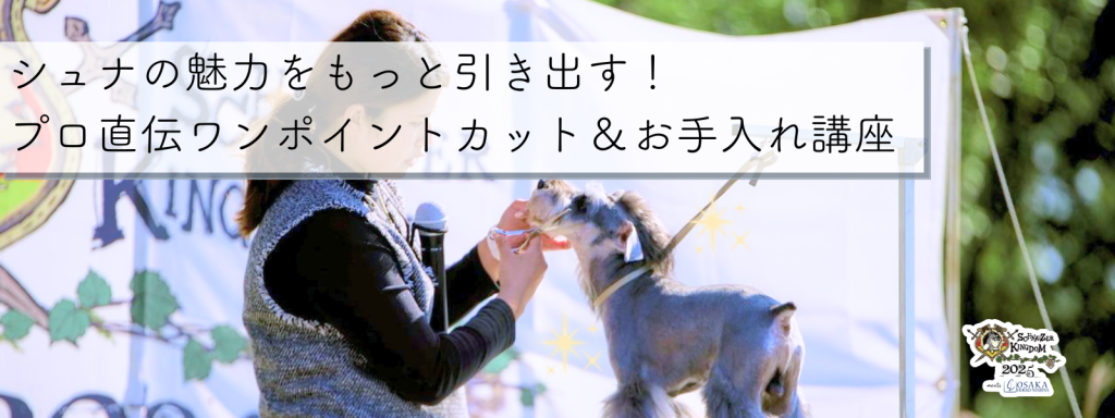 シュナの魅力をもっと引き出す！プロ直伝ワンポイントカット＆お手入れ講座