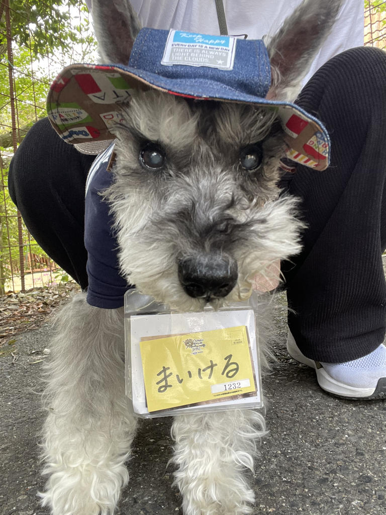 まいけるくん