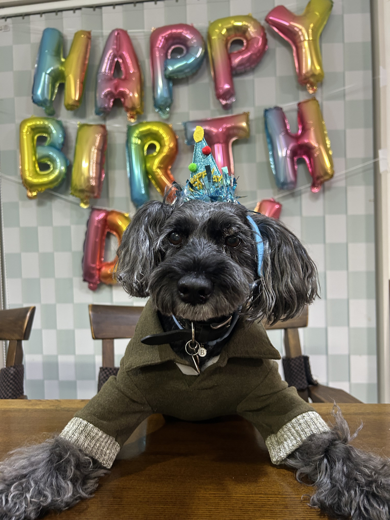 小牧　ブン太くん