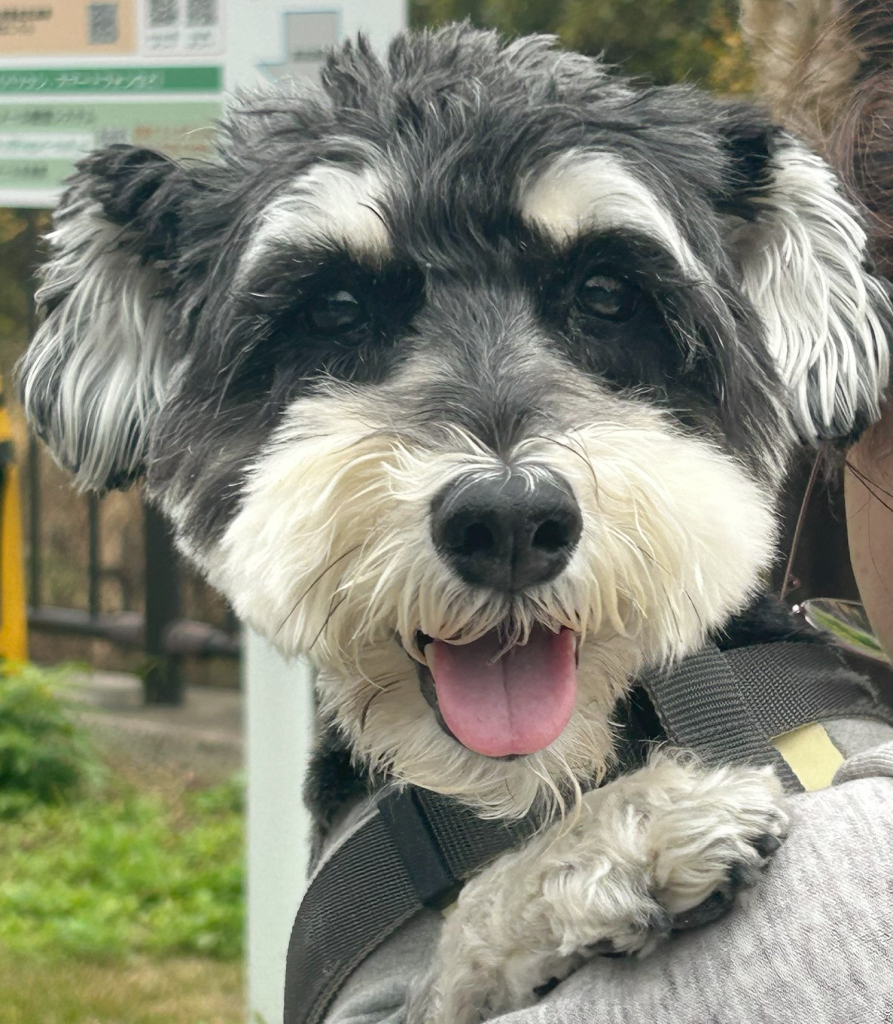 グリュックくん