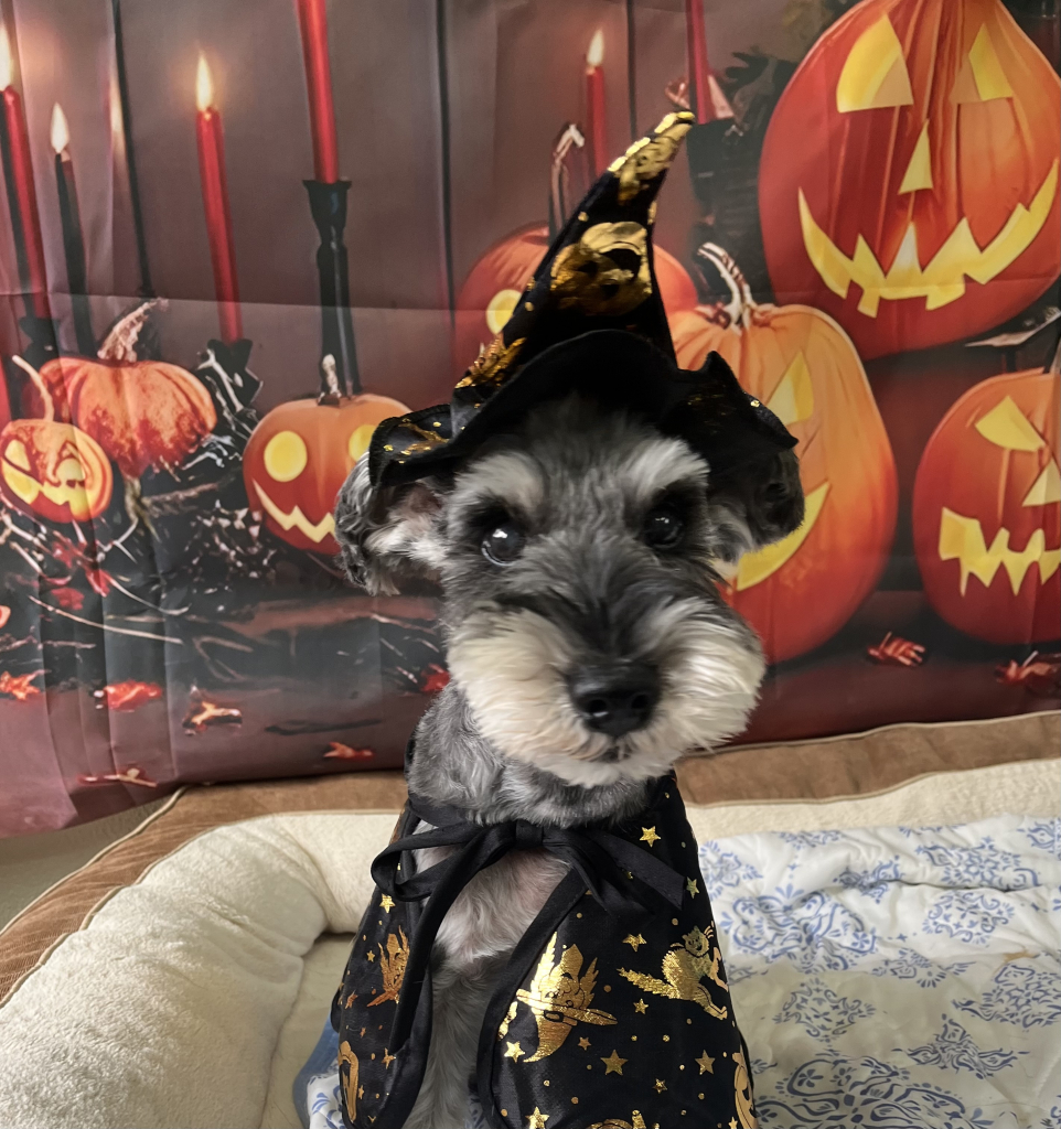 RUN（ラン）くん