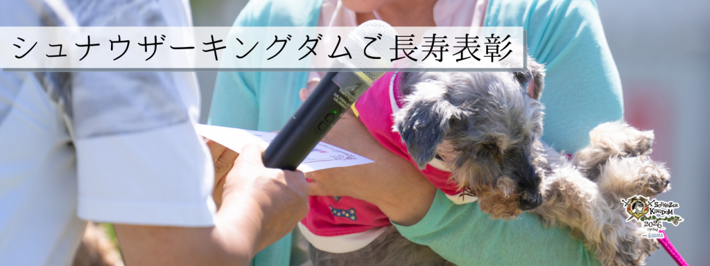 シュナウザーキングダムご長寿表彰@2026_4_12
