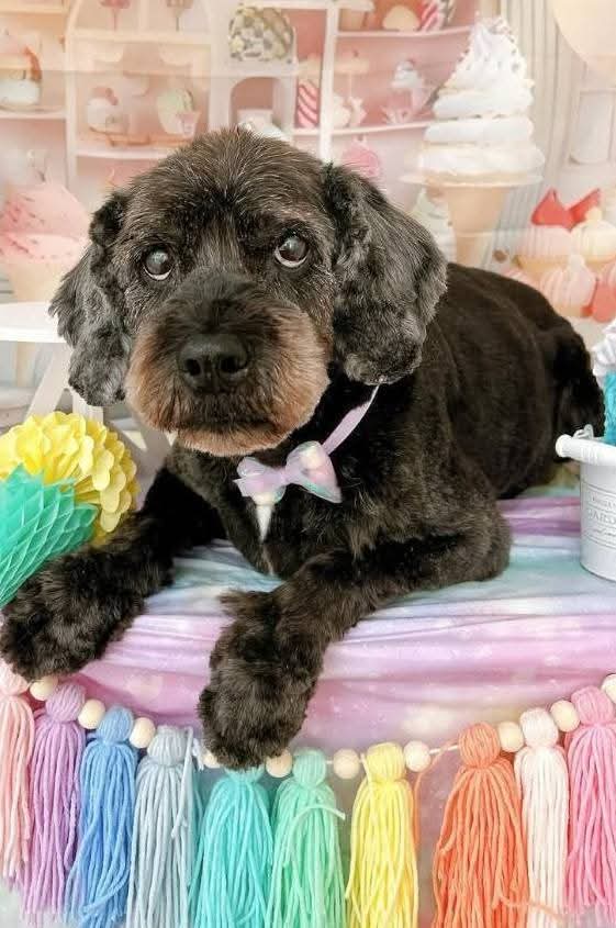 水口ムックくん