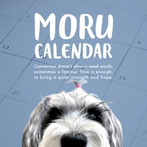 MORU CALENDAR