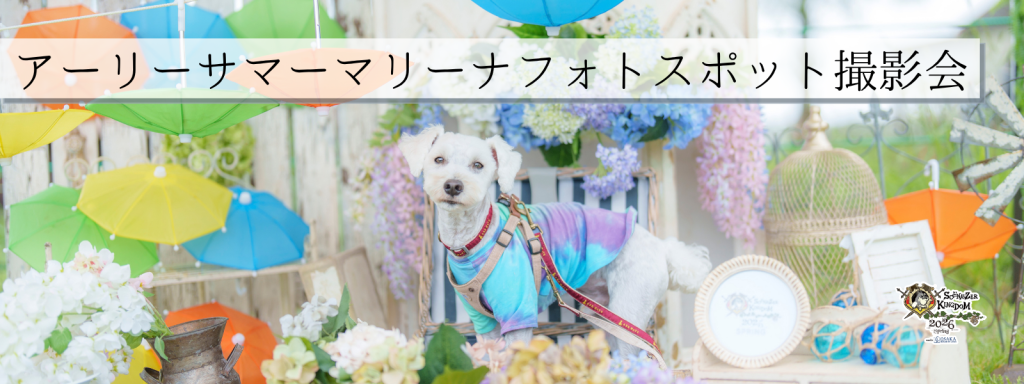 アーリーサマーマリーナフォトスポット撮影会