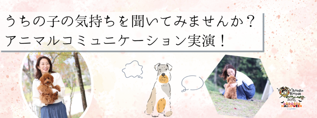 うちの子の気持ちを聞いてみませんか？アニマルコミュニケーション実演！