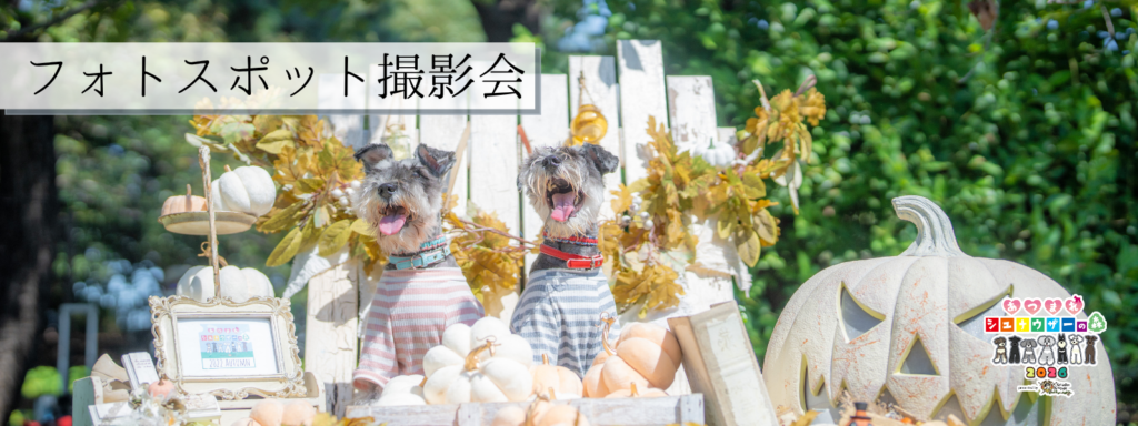 フォトスポット撮影会@イーノの森DogGarden