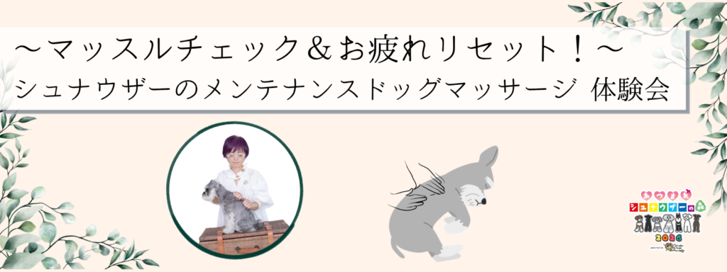 ~マッスルチェック&お疲れリセット!~ シュナウザーのメンテナンスドッグマッサージ®体験会