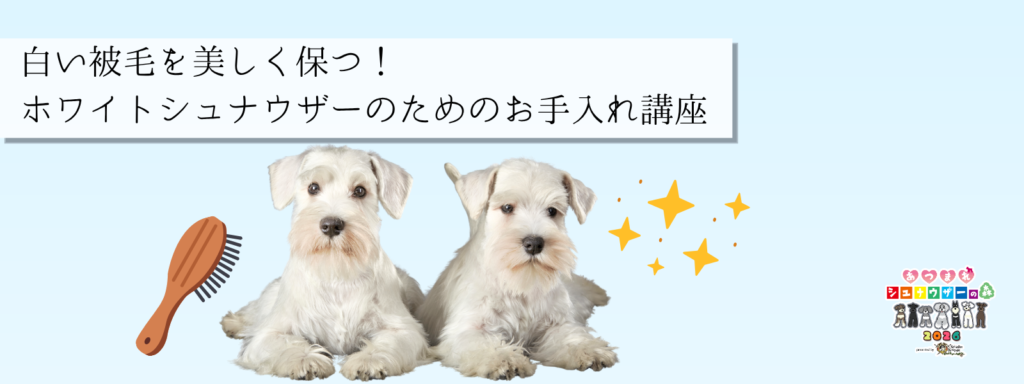 白い被毛を美しく保つ！ホワイトシュナウザーのためのお手入れ講座