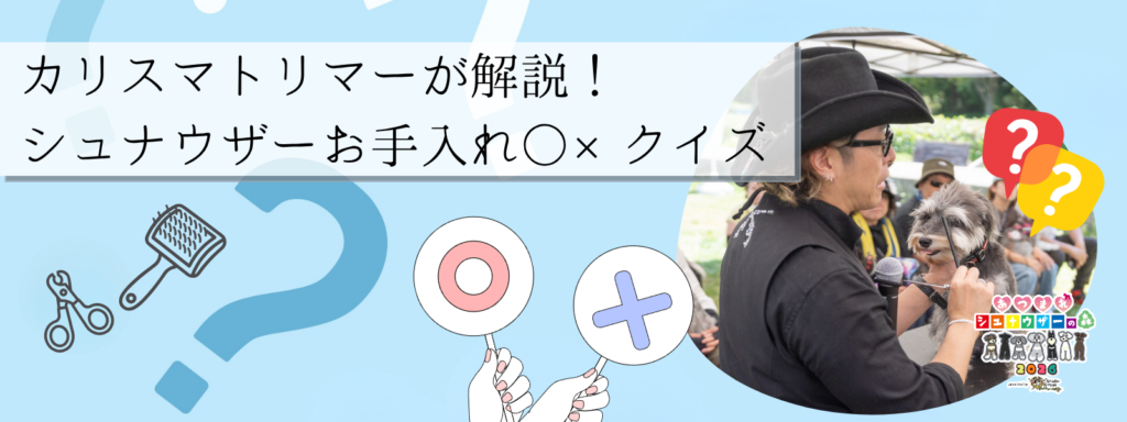 カリスマトリマーが解説!シュナウザーお手入れ○×クイズ